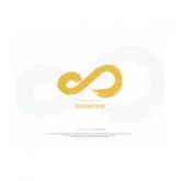 INFINITE - Infinitize